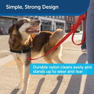 PetSafe Nylon Dog Leash, Red, 6-ft, 3/8-in