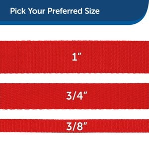 PetSafe Nylon Dog Leash, Red, 6-ft, 3/8-in