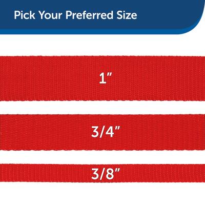 Show full view: PetSafe Nylon Dog Leash, Red, 6-ft long, 3/4-in wide slide 5 of 10