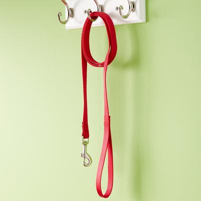 Show full view: PetSafe Nylon Dog Leash, Red, 6-ft long, 3/4-in wide slide 8 of 10
