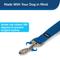Show in main carousel: PetSafe Nylon Dog Leash, Royal Blue, 4-ft long, 1-in wide slide 2 of 10