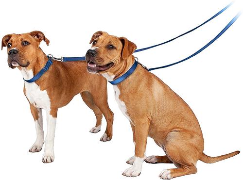 Show full view: PetSafe Nylon Dog Leash, Royal Blue, 4-ft long, 1-in wide slide 7 of 10