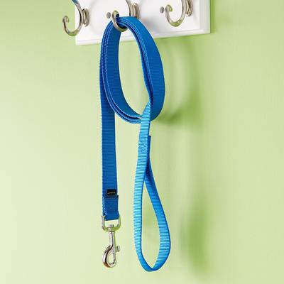 Show full view: PetSafe Nylon Dog Leash, Royal Blue, 4-ft long, 1-in wide slide 8 of 10