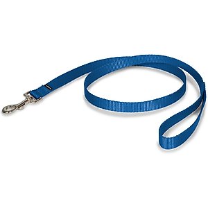 PetSafe Nylon Dog Leash, Royal Blue, 4-ft long, 3/4-in wide