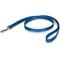 Show in main carousel: PetSafe Nylon Dog Leash, Royal Blue, 4-ft long, 3/4-in wide slide 1 of 10