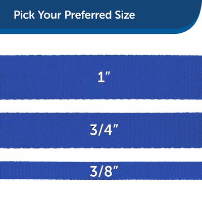 Show full view: PetSafe Nylon Dog Leash, Royal Blue, 4-ft long, 3/4-in wide slide 5 of 10