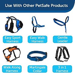 PetSafe Nylon Dog Leash, Royal Blue, 6-ft, 3/8-in slide 2 of 8