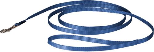 Show full view: PetSafe Nylon Dog Leash, Royal Blue, 6-ft, 3/8-in slide 7 of 10