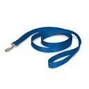 PetSafe Nylon Dog Leash, Royal Blue, 6-ft long, 1-in wide