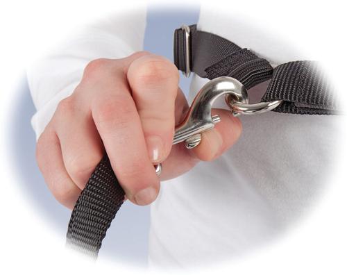 Show full view: PetSafe Nylon Hands-Free Running Dog Leash, Black slide 4 of 10