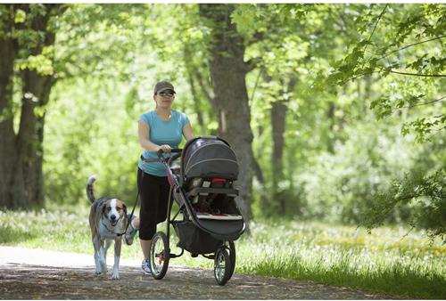Show full view: PetSafe Nylon Hands-Free Running Dog Leash, Black slide 7 of 10