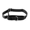 PetSafe Nylon Martingale Dog Collar, Black, Medium: 10 to 16-in neck, 3/4-in wide
