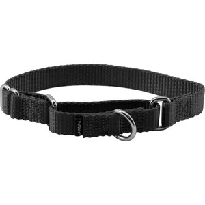 PetSafe Nylon Martingale Dog Collar, Black, Small: 8 to 12-in neck, 3/4-in wide