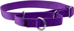 PetSafe Nylon Martingale Dog Collar, Deep Purple, Large: 14 to 20-in neck, 1-in wide