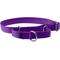 Show in main carousel: PetSafe Nylon Martingale Dog Collar, Deep Purple, Large: 14 to 20-in neck, 1-in wide slide 1 of 5