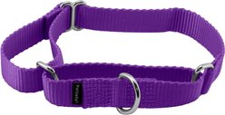 PetSafe Nylon Martingale Dog Collar, Deep Purple, Medium: 10 to 16-in neck, 3/4-in wide