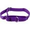 Show in main carousel: PetSafe Nylon Martingale Dog Collar, Deep Purple, Medium: 10 to 16-in neck, 3/4-in wide slide 1 of 6
