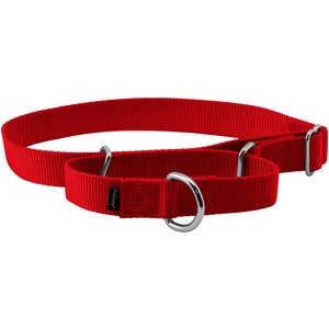 PetSafe Nylon Martingale Dog Collar, Red, Large: 14 to 20-in neck, 1-in wide