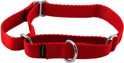 PetSafe Nylon Martingale Dog Collar, Red, Medium: 10 to 16-in neck, 3/4-in wide