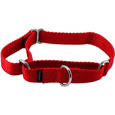 PetSafe PetSafe Nylon Martingale Dog Collar, Red, Medium: 10 to 16-in neck, 3/4-in wide