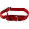 Show in main carousel: PetSafe Nylon Martingale Dog Collar, Red, Medium: 10 to 16-in neck, 3/4-in wide slide 1 of 5