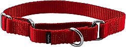 PetSafe Nylon Martingale Dog Collar, Red, Small, 3/4-in
