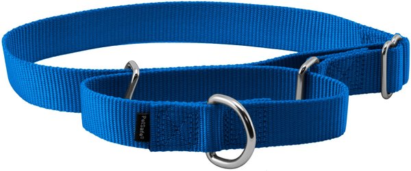 Show full view: PetSafe Nylon Martingale Dog Collar, Royal Blue, Large: 14 to 20-in neck, 1-in wide slide 1 of 5