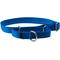 Show in main carousel: PetSafe Nylon Martingale Dog Collar, Royal Blue, Large: 14 to 20-in neck, 1-in wide slide 1 of 5
