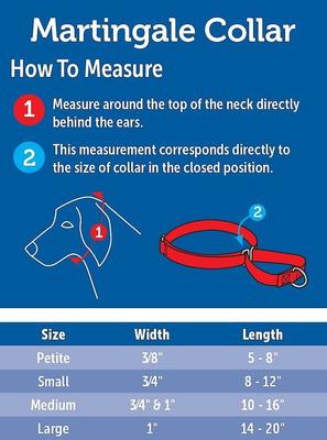 Show full view: PetSafe Nylon Martingale Dog Collar, Royal Blue, Medium: 10 to 16-in neck, 3/4-in wide slide 3 of 5