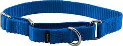 PetSafe Nylon Martingale Dog Collar, Royal Blue, Small: 8 to 12-in neck, 3/4-in wide