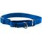 Show in main carousel: PetSafe Nylon Martingale Dog Collar, Royal Blue, Small: 8 to 12-in neck, 3/4-in wide slide 1 of 5