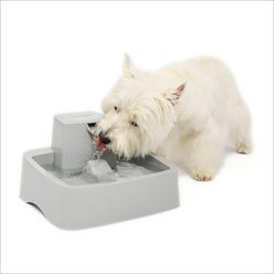 PetSafe Oasys Cat & Dog Water Fountain, 1-gallon