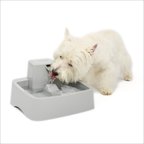 PetSafe Oasys Cat & Dog Water Fountain, 1-gallon