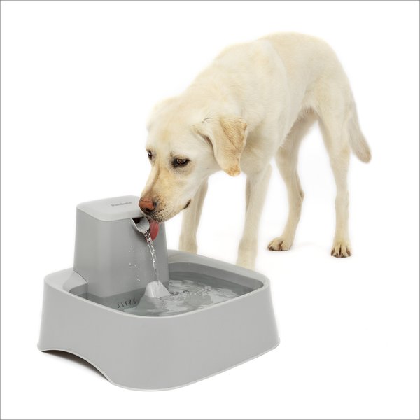 VIVIPAL Ultra Quiet Dog Water Fountain, 8-L