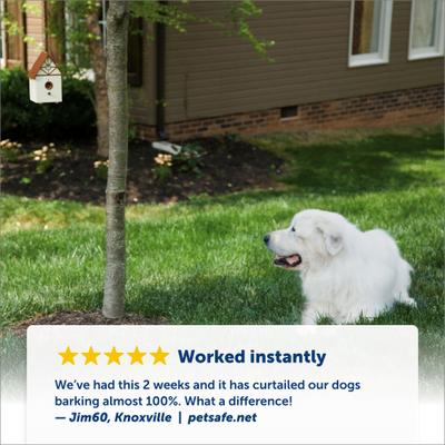 Show full view: PetSafe Outdoor Ultrasonic Bark Control Deterrent slide 4 of 9