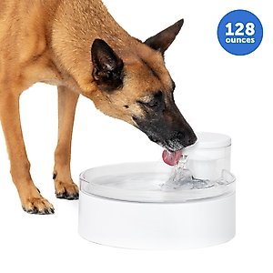 PetSafe Outlast Pumpless Cat Water Fountain, White, 128-oz