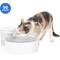 Show in main carousel: PetSafe Outlast Pumpless Cat Water Fountain, White, 90-oz slide 1 of 10
