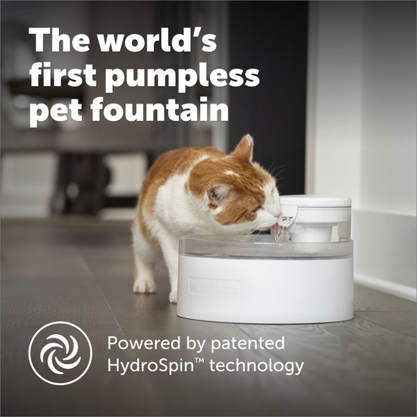 PetSafe Outlast Pumpless Cat Water Fountain, White
