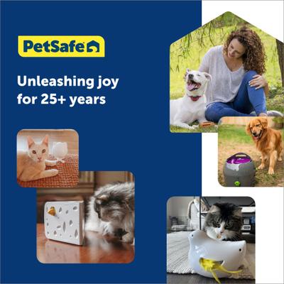 Show full view: PetSafe Peek-A-Bird Replacement Feather Cat Toy, Yellow, 2 count slide 6 of 7