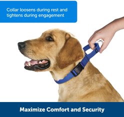PetSafe Quick Snap Buckle Nylon Martingale Dog Collar, Black, Large: 13 to 20-in neck, 1-in wide slide 2 of 6