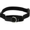 Show in main carousel: PetSafe Quick Snap Buckle Nylon Martingale Dog Collar, Black, Medium: 11 to 15-in neck, 3/4-in wide slide 1 of 8