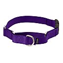 PetSafe Quick Snap Buckle Nylon Martingale Dog Collar, Deep Purple, Large: 13 to 20-in neck, 1-in wide