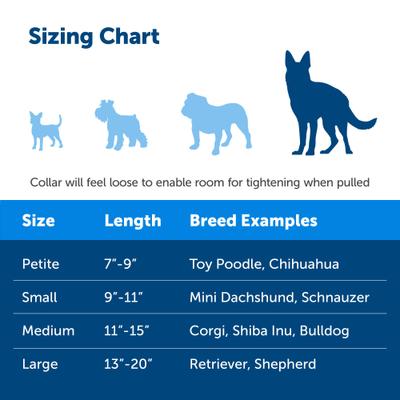 Show full view: PetSafe Quick Snap Buckle Nylon Martingale Dog Collar, Raspberry, Large: 13 to 20-in neck, 1-in wide slide 4 of 8