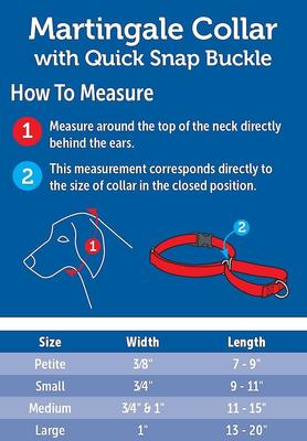 Show full view: PetSafe Quick Snap Buckle Nylon Martingale Dog Collar, Raspberry, Medium: 11 to 15-in neck, 3/4-in wide slide 8 of 10