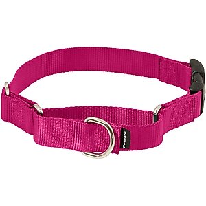 PetSafe Quick Snap Buckle Nylon Martingale Dog Collar, Raspberry, Small: 9 to 11-in neck, 3/4-in wide
