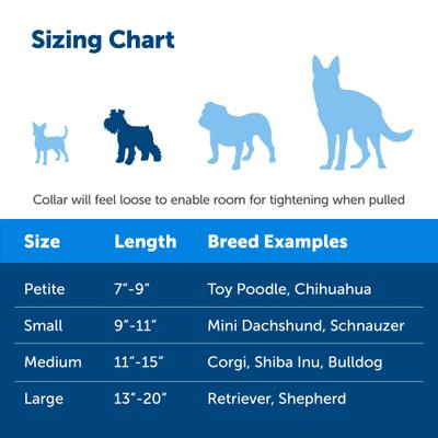 Show full view: PetSafe Quick Snap Buckle Nylon Martingale Dog Collar, Raspberry, Small: 9 to 11-in neck, 3/4-in wide slide 5 of 10