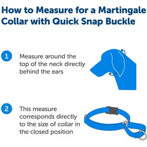 PetSafe Quick Snap Buckle Nylon Martingale Dog Collar, Red, Large: 13 to 20-in neck, 1-in wide