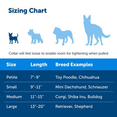 Show full view: PetSafe Quick Snap Buckle Nylon Martingale Dog Collar, Red, Petite: 7 to 9-in neck, 3/8-in wide slide 4 of 8