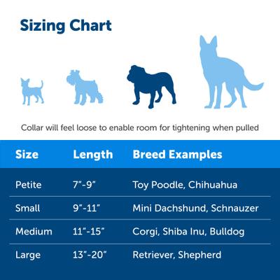 Show full view: PetSafe Quick Snap Buckle Nylon Martingale Dog Collar, Royal Blue, Medium: 11 to 15-in neck, 1-in wide slide 5 of 9