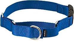 PetSafe Quick Snap Buckle Nylon Martingale Dog Collar, Royal Blue, Small: 9 to 11-in neck, 3/4-in wide